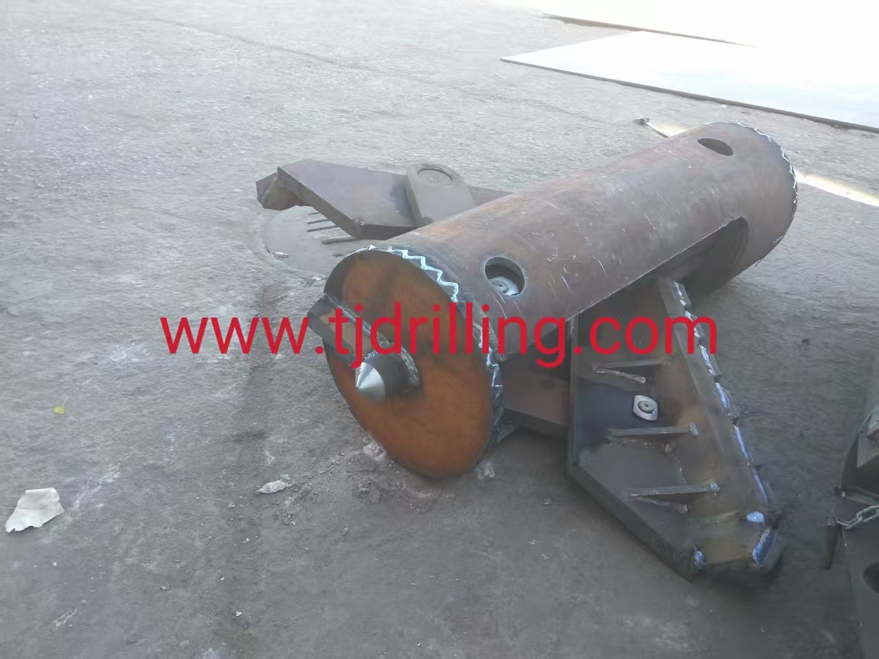Botes campana